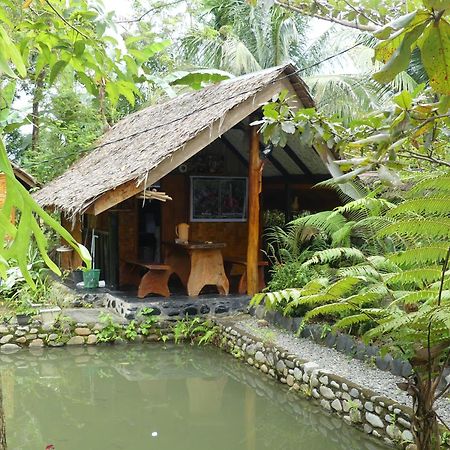 Magpie resto dan homestay Bukit Lawang Luaran gambar