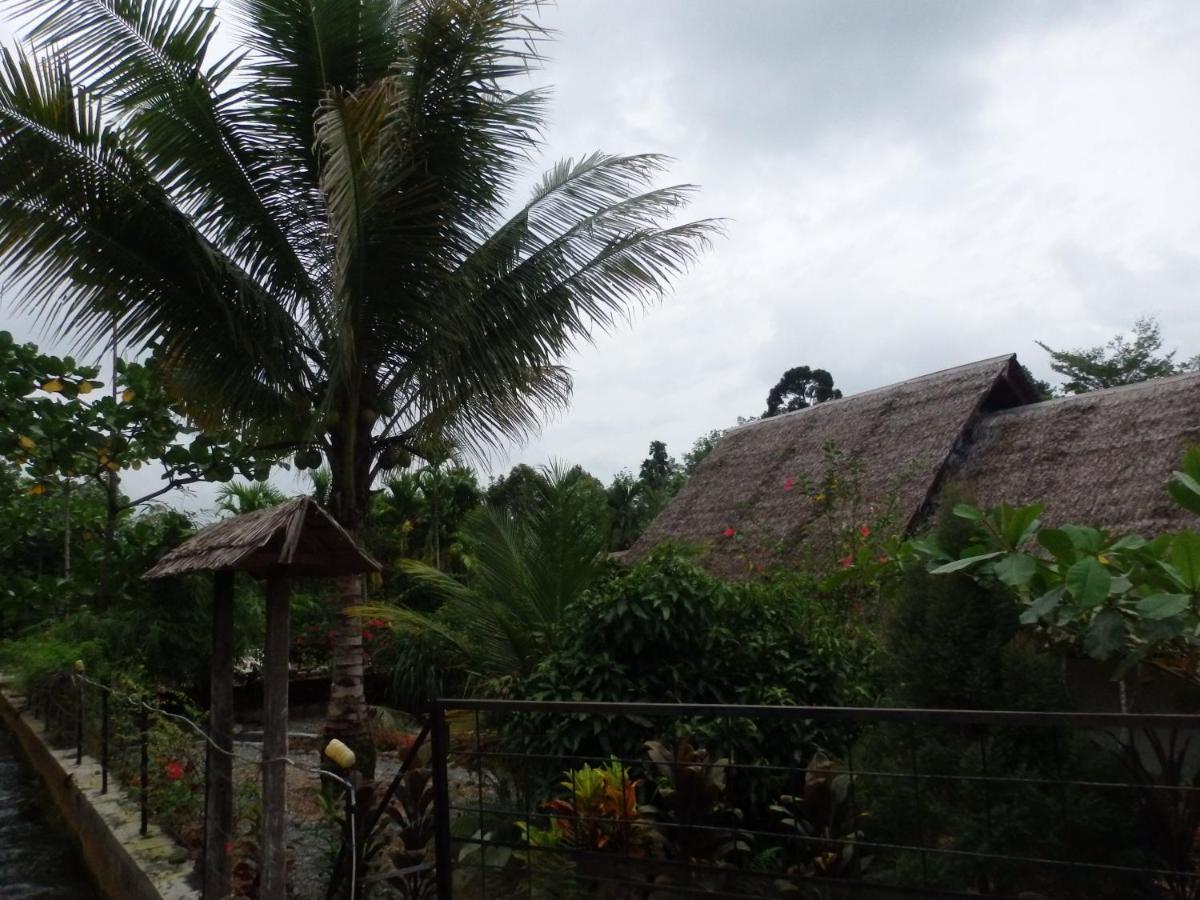 Magpie resto dan homestay Bukit Lawang Luaran gambar