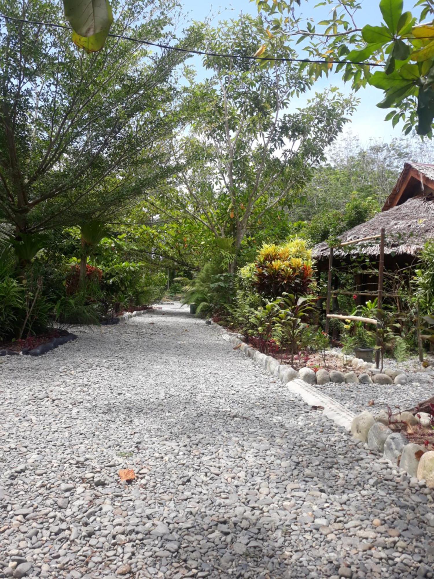 Magpie resto dan homestay Bukit Lawang Luaran gambar