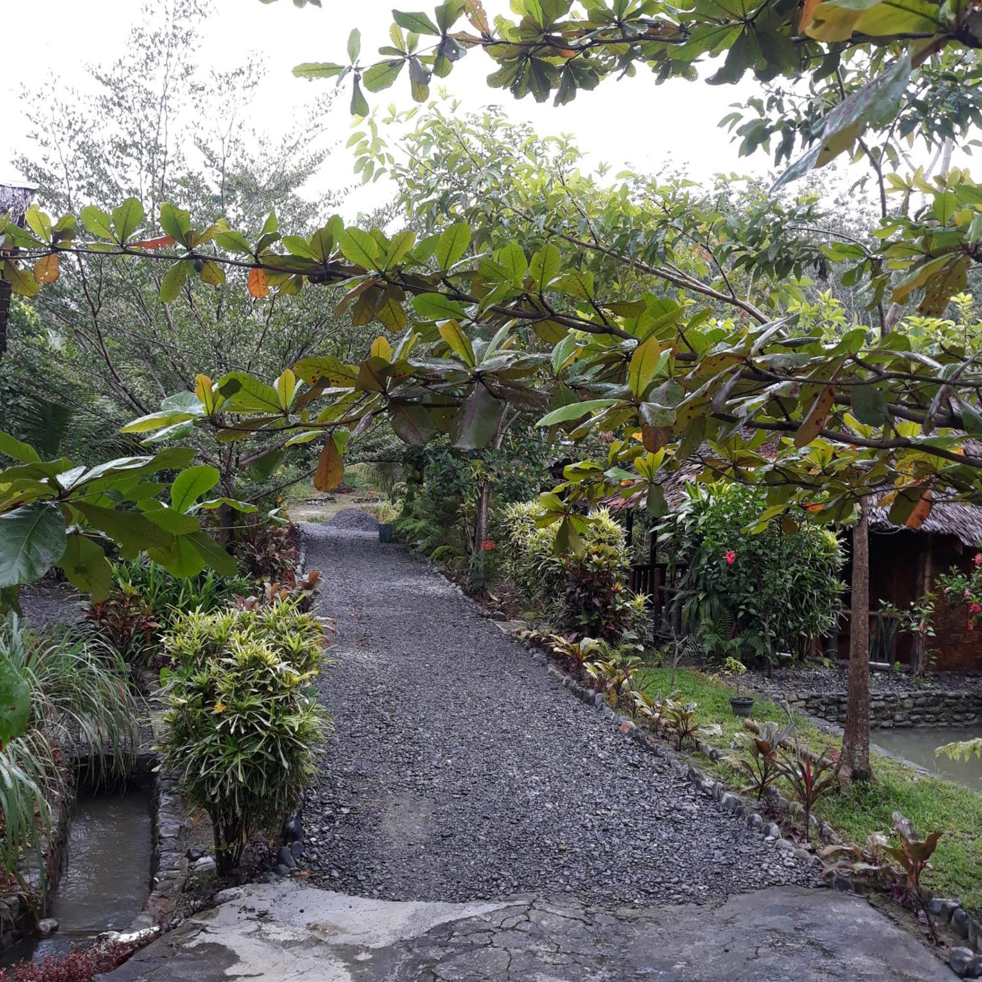 Magpie resto dan homestay Bukit Lawang Bilik gambar