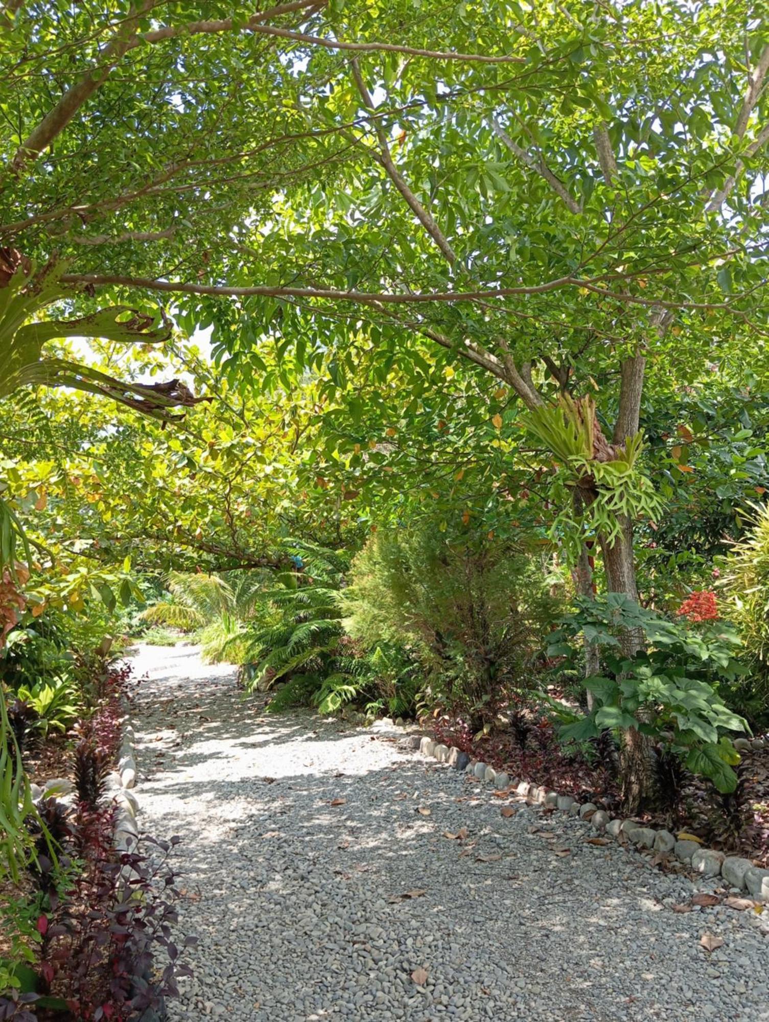 Magpie resto dan homestay Bukit Lawang Luaran gambar