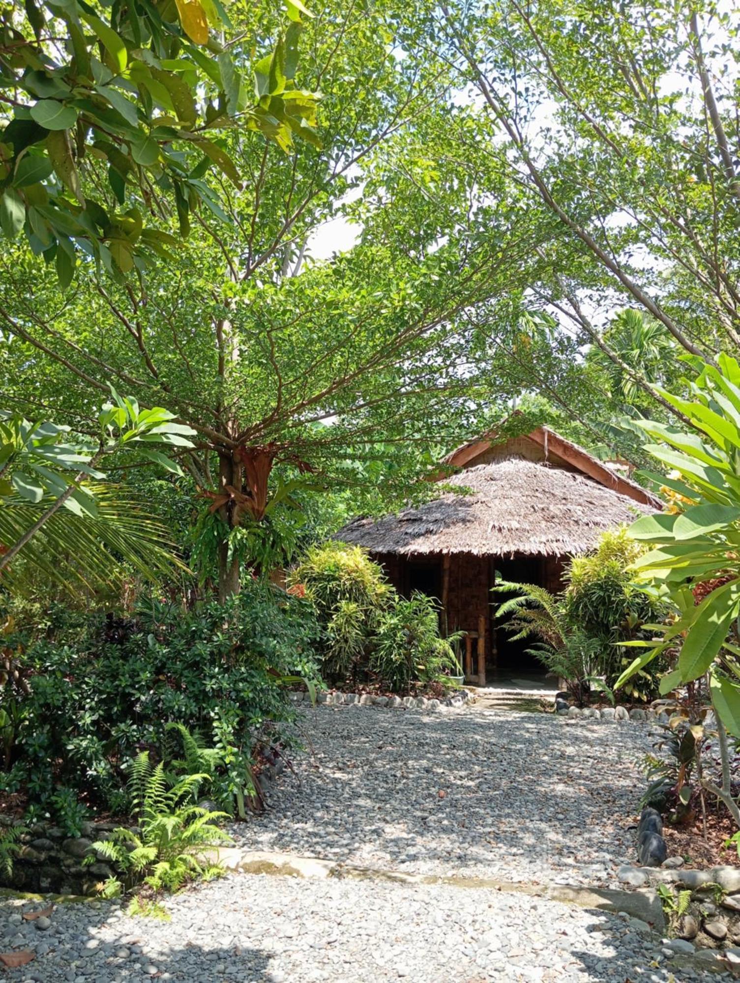 Magpie resto dan homestay Bukit Lawang Luaran gambar