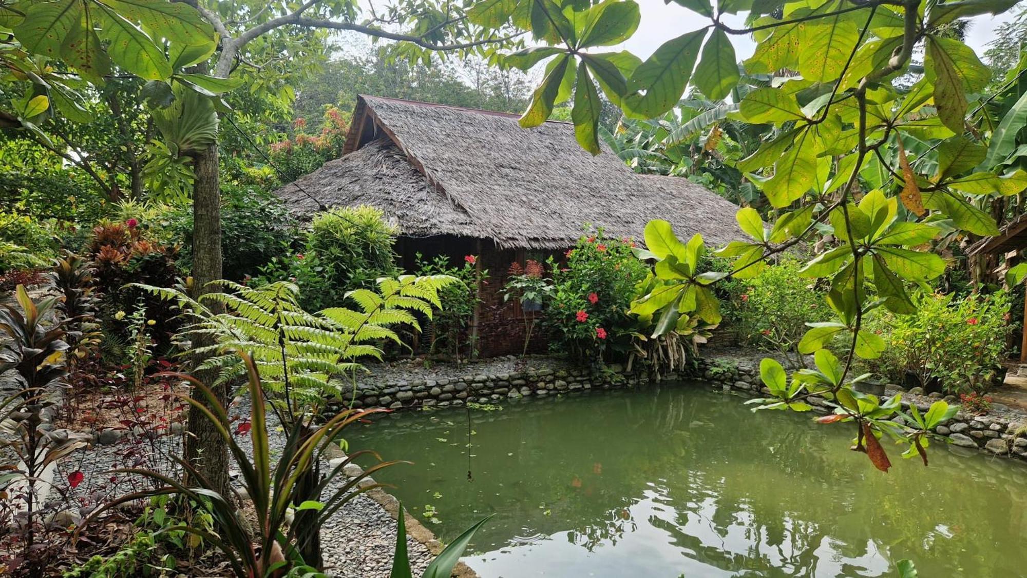 Magpie resto dan homestay Bukit Lawang Luaran gambar