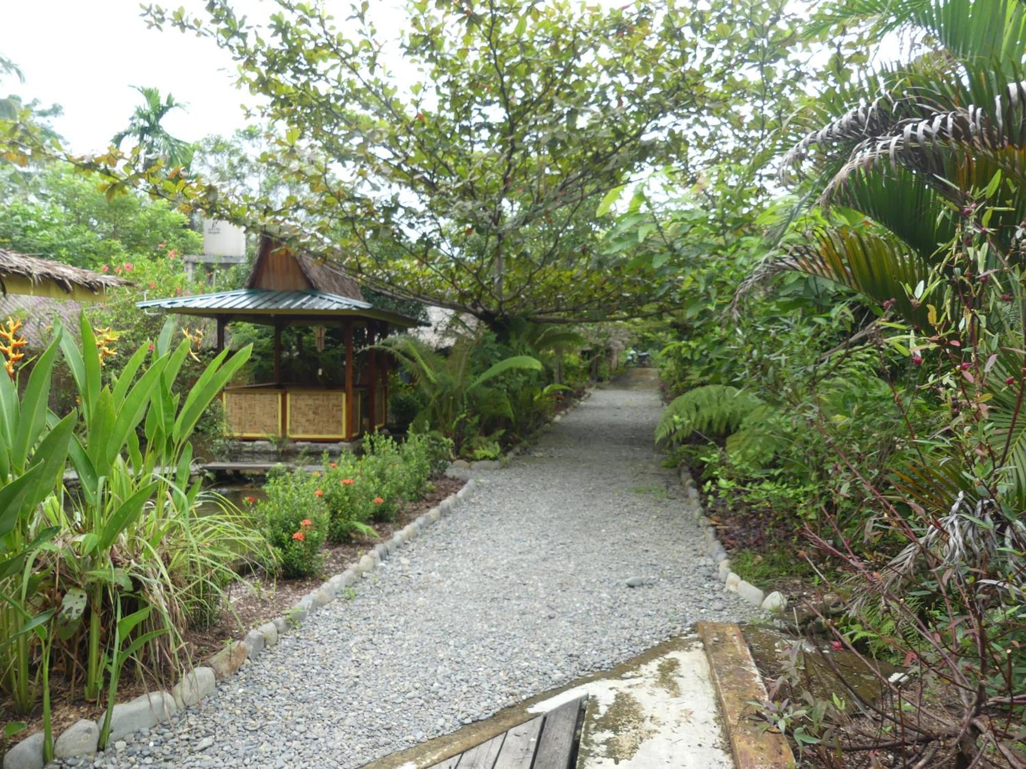 Magpie resto dan homestay Bukit Lawang Bilik gambar