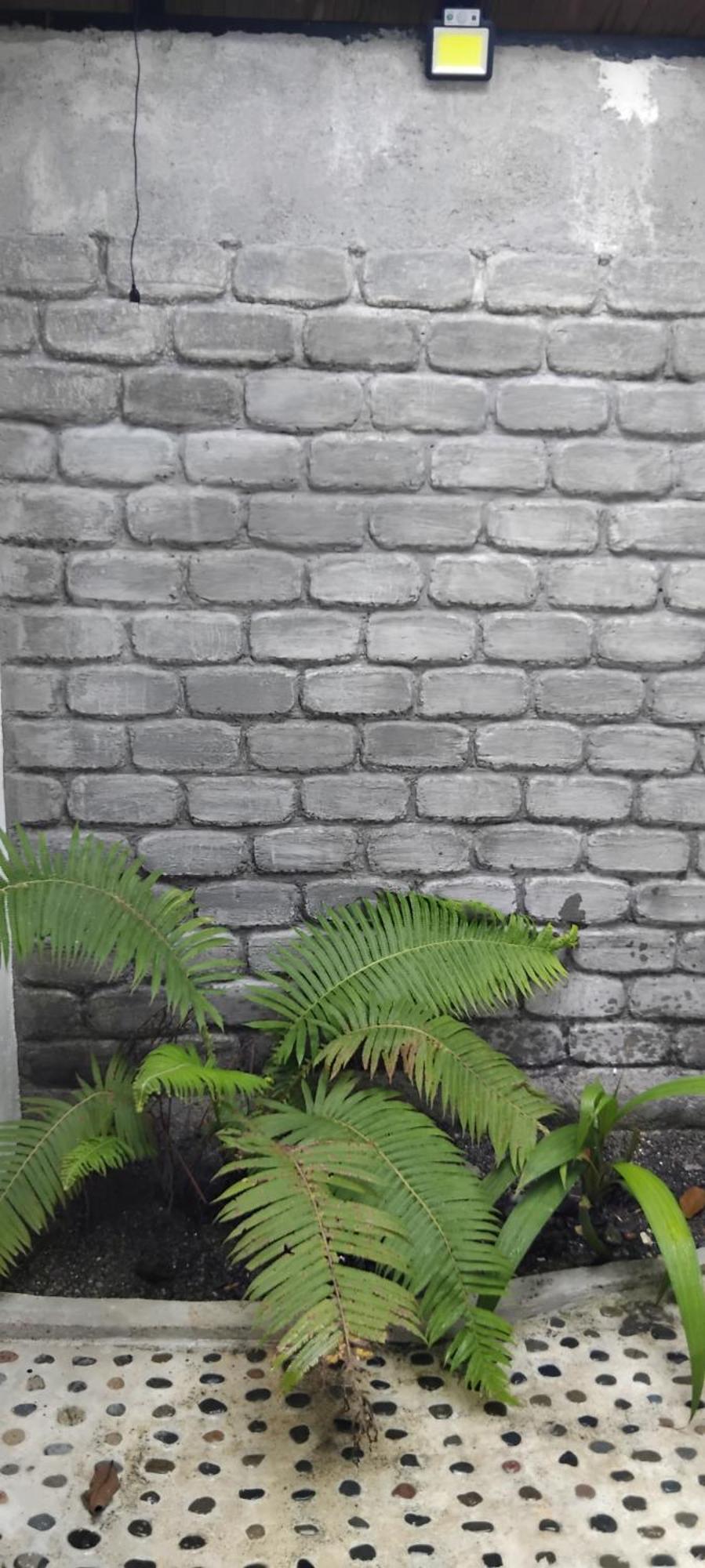 Magpie resto dan homestay Bukit Lawang Bilik gambar
